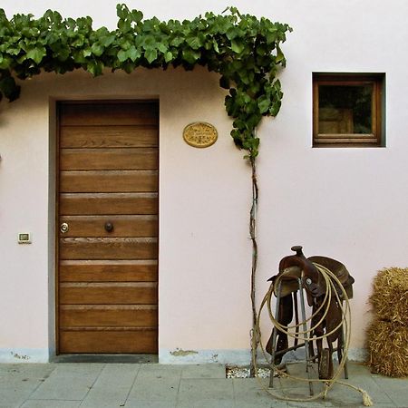 Appartamenti Agriturismo La Canonica Certaldo Dış mekan fotoğraf