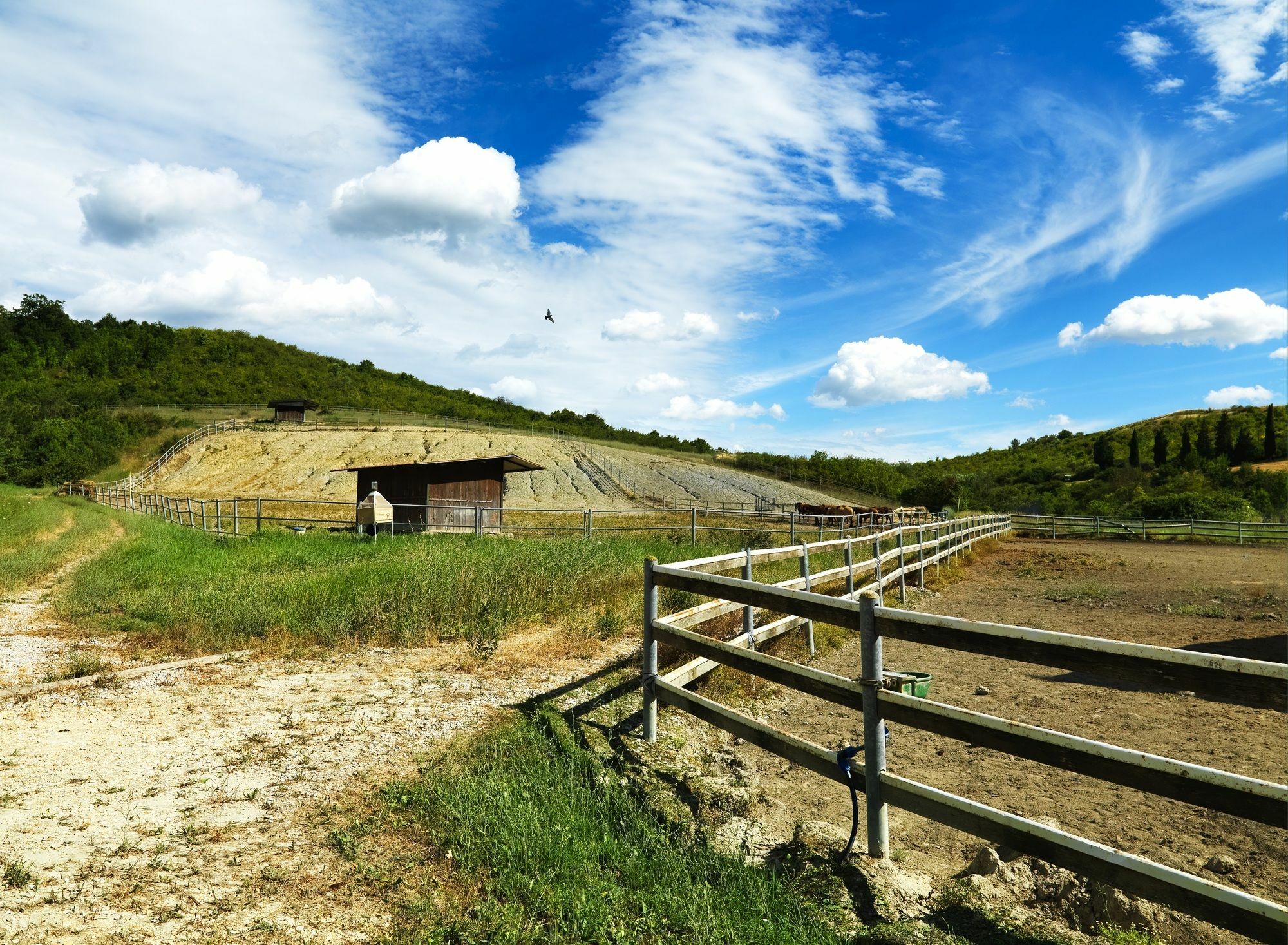 Appartamenti Agriturismo La Canonica Certaldo Dış mekan fotoğraf